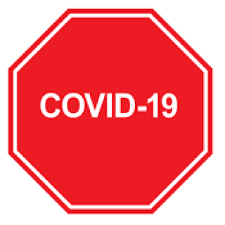 COVID-19 update for 6/20/2024
